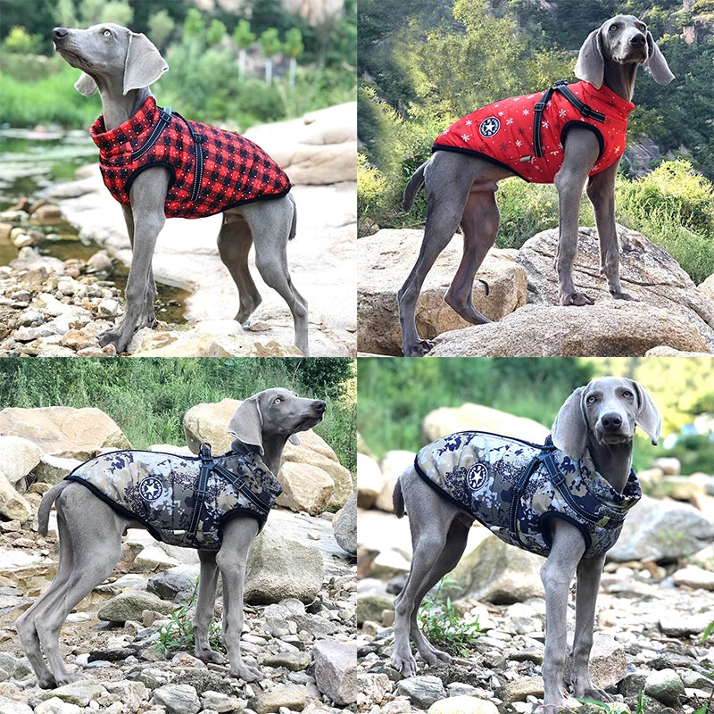 Cute & Cozy Waterproof Large Dog Jacket with Built-In Harness