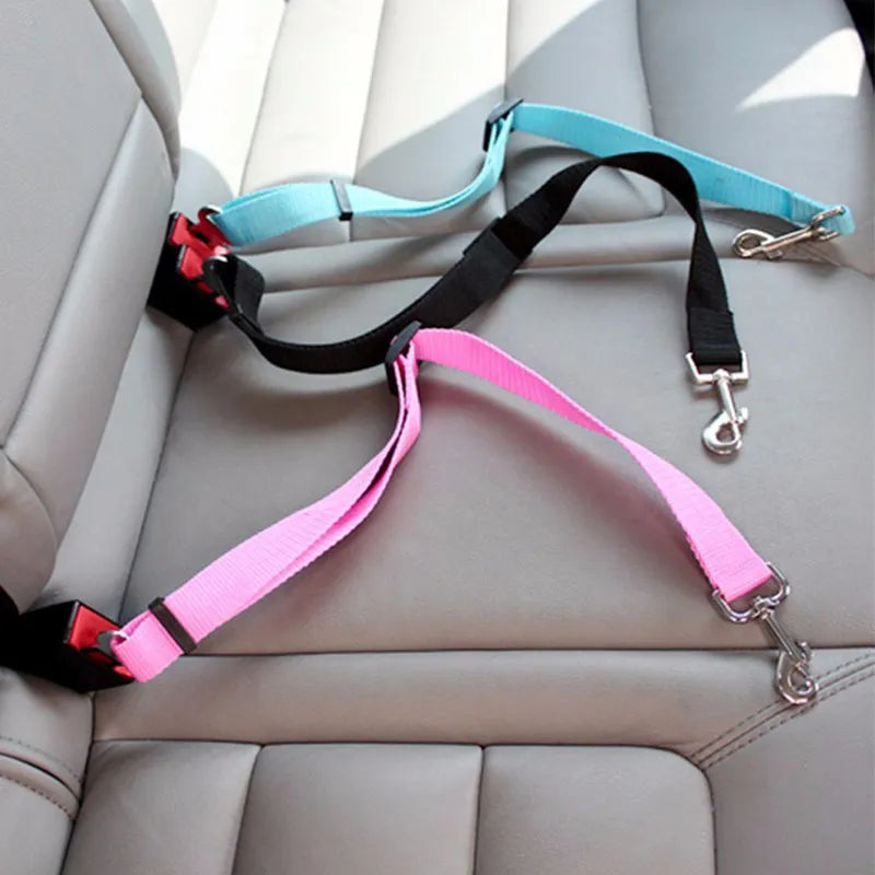 Safe Travels: Secure Your Furry Friend in Style