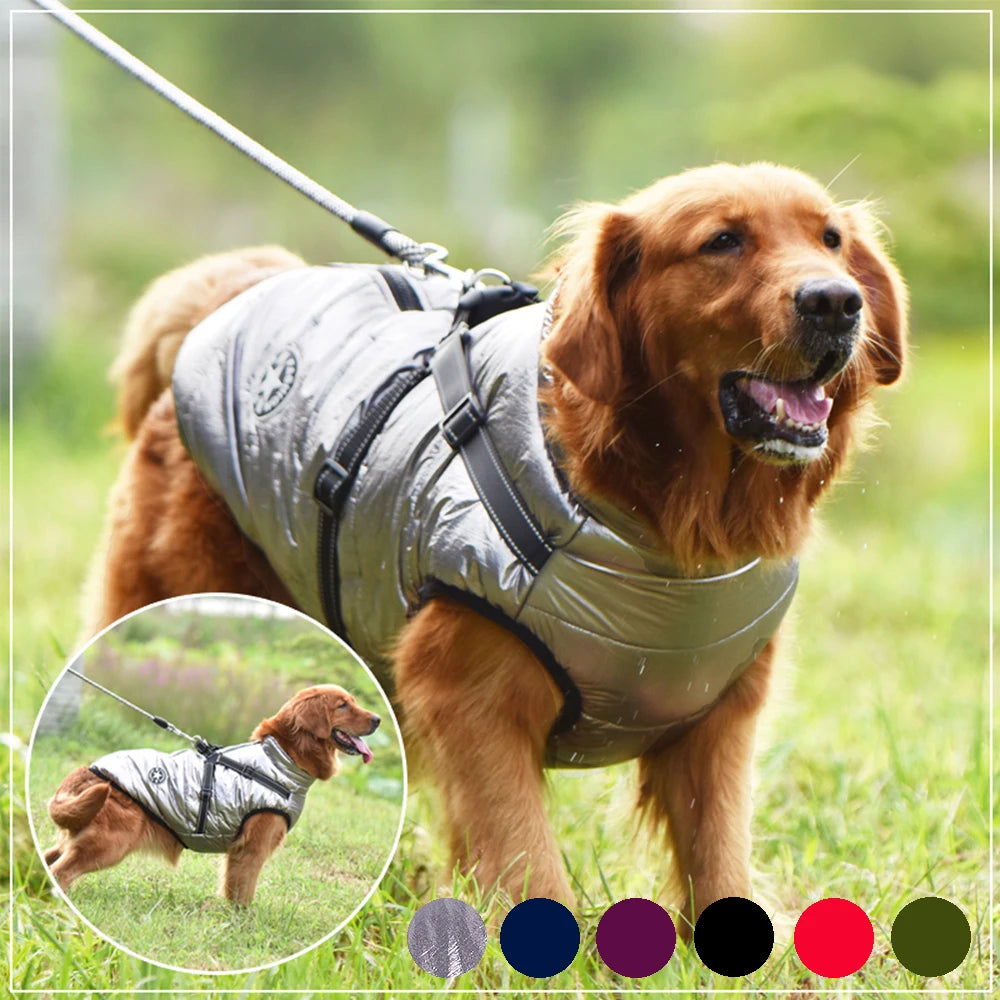 Cute & Cozy Waterproof Large Dog Jacket with Built-In Harness